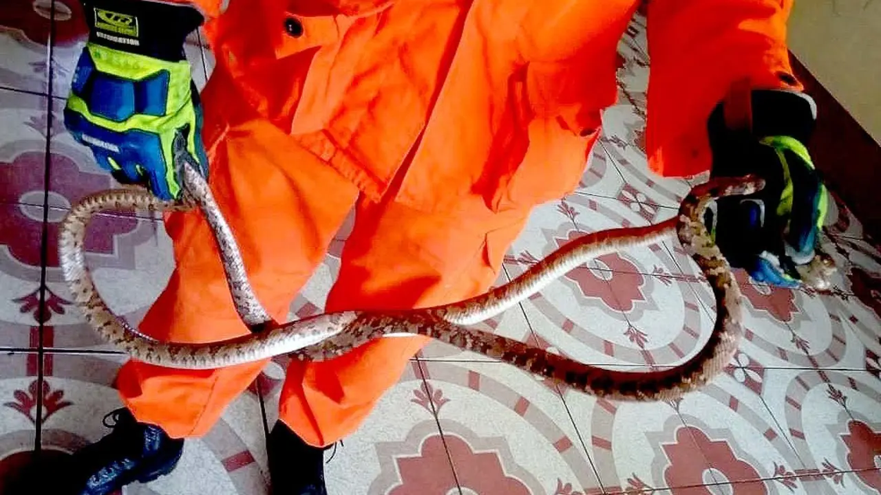 Masacuatas en San Vicente