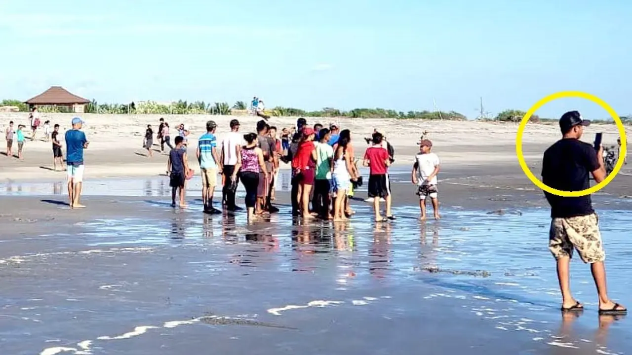 Cocodrilo en Isla Tasajera 2