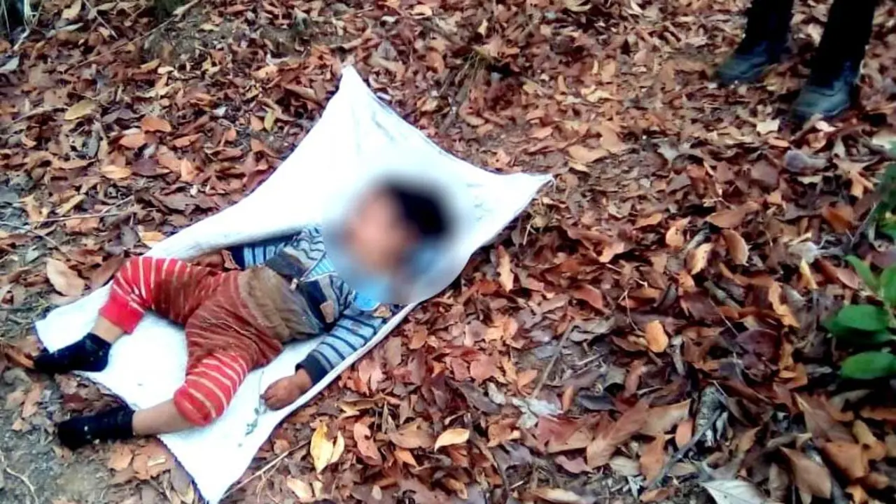 Ni&ntilde;o encontrado entre cafetales 2