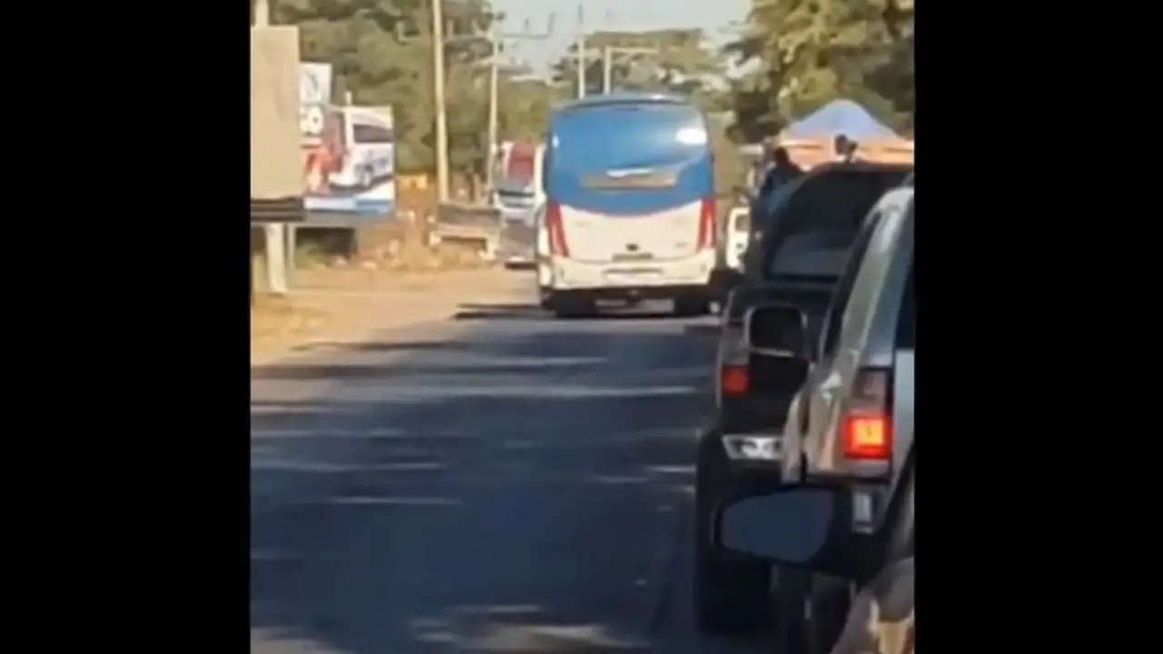 Busero en el oriente