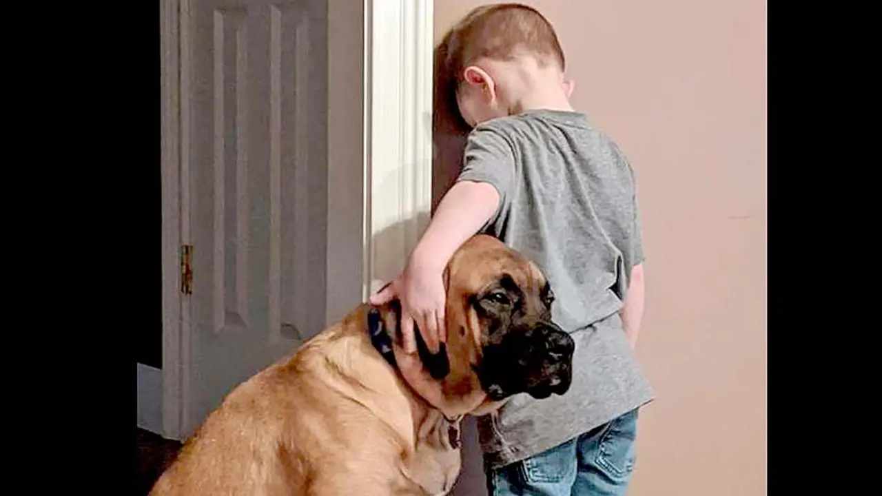 Ni&ntilde;o es castigado y su perro lo consuela 2