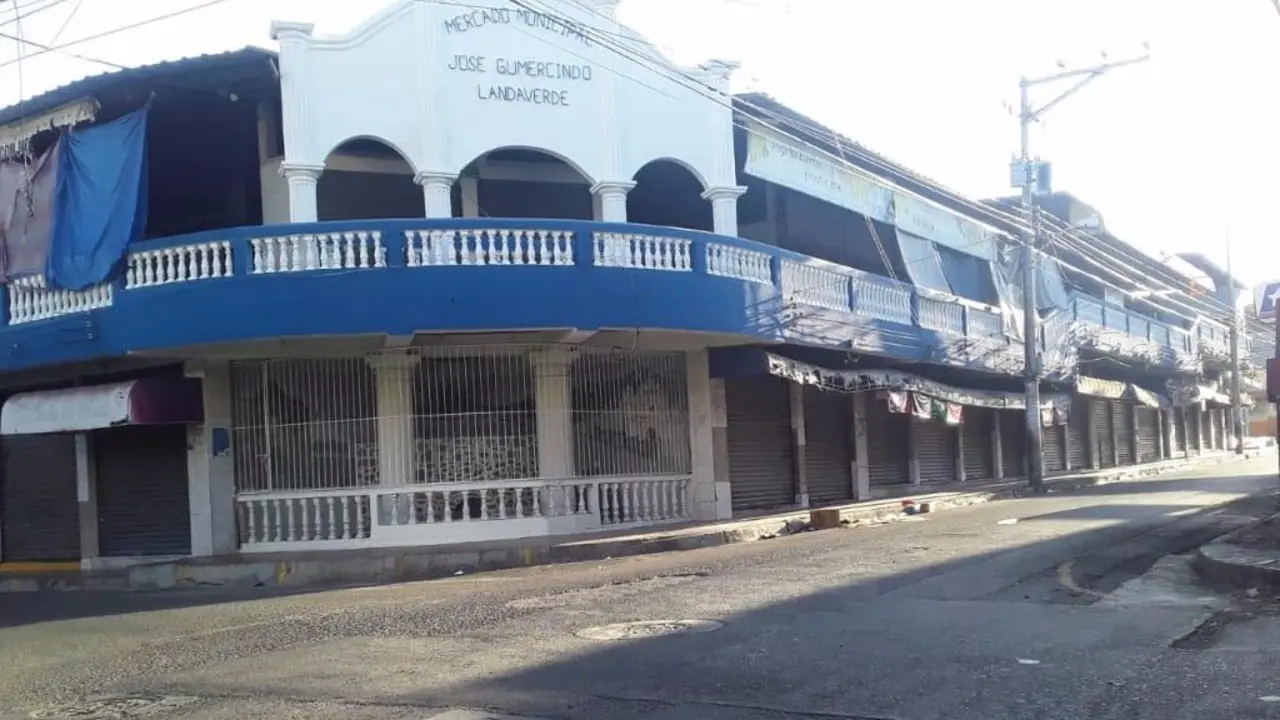 Mercado de Metap&aacute;n