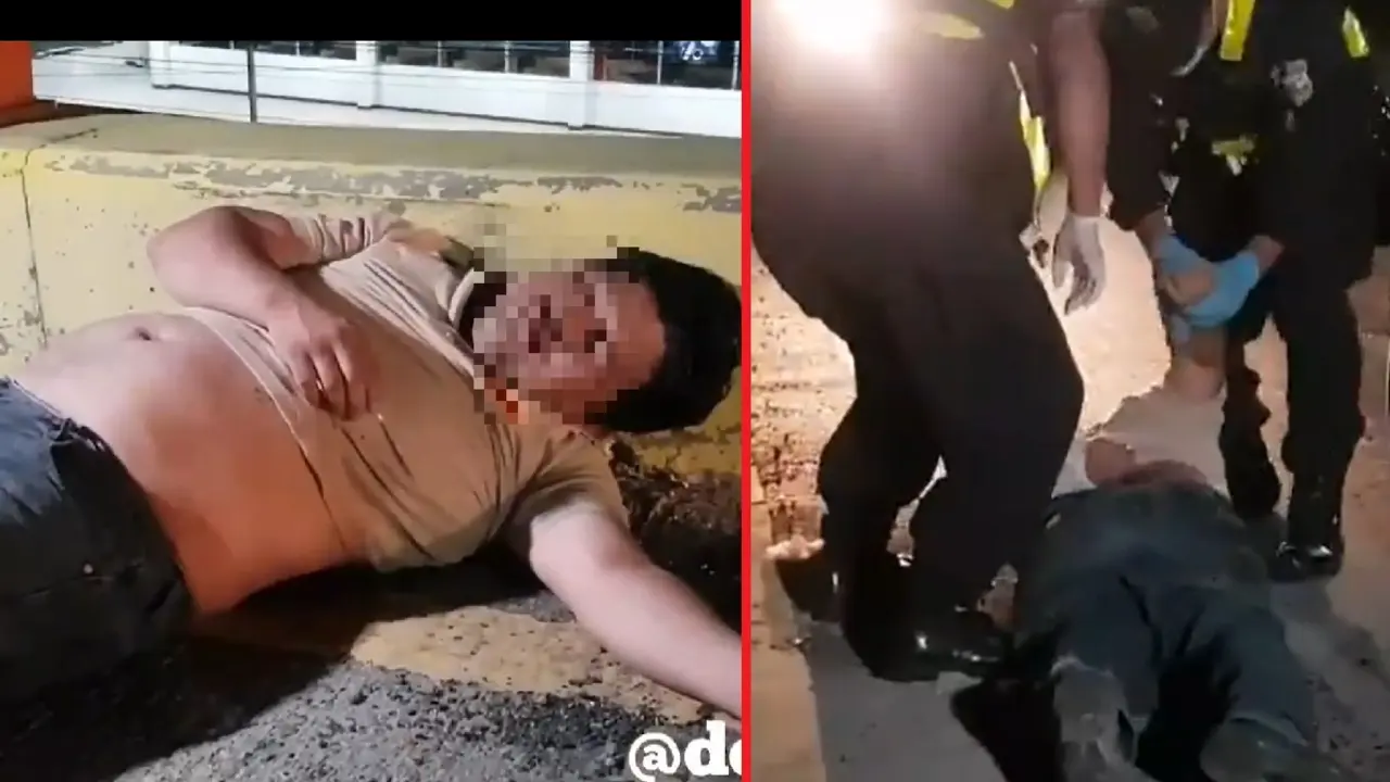 Bolo en Los Pr&oacute;ceres