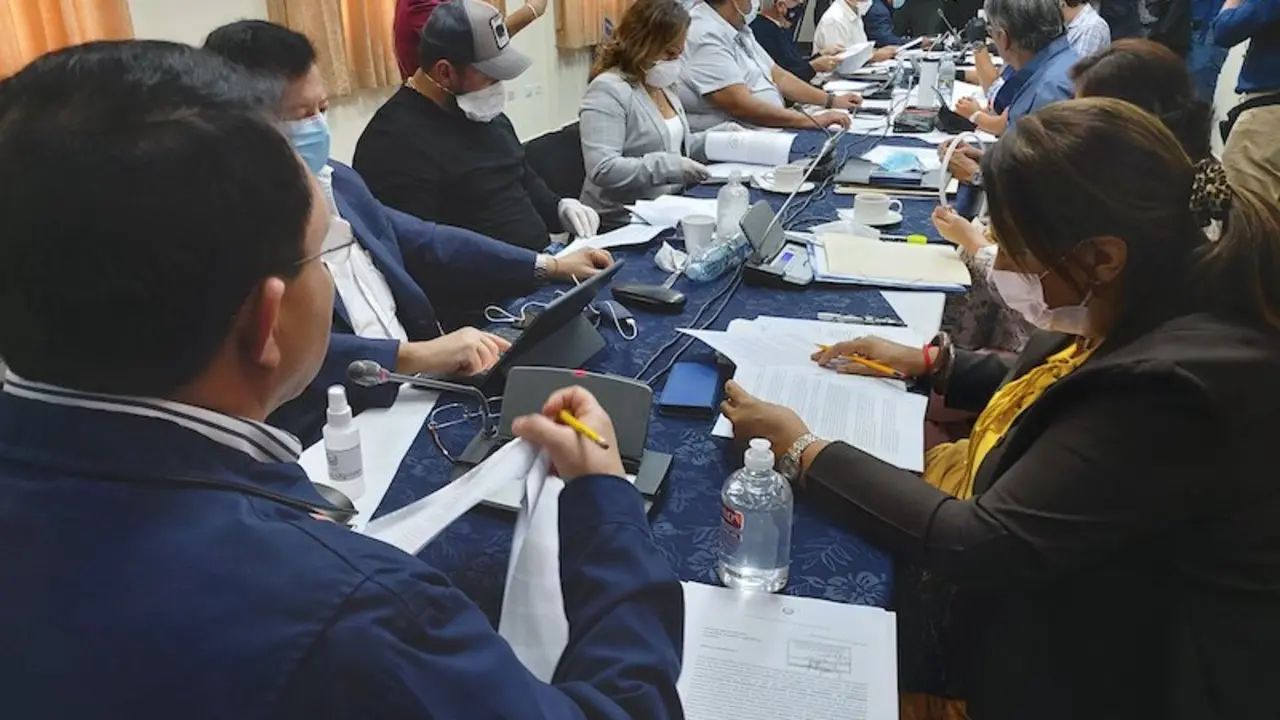 Diputados cuarentena