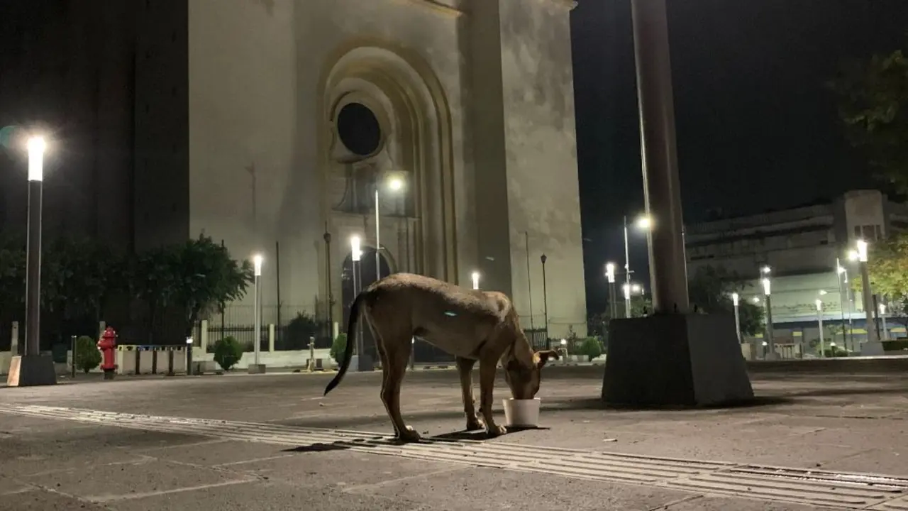 Catedral de San Salvador