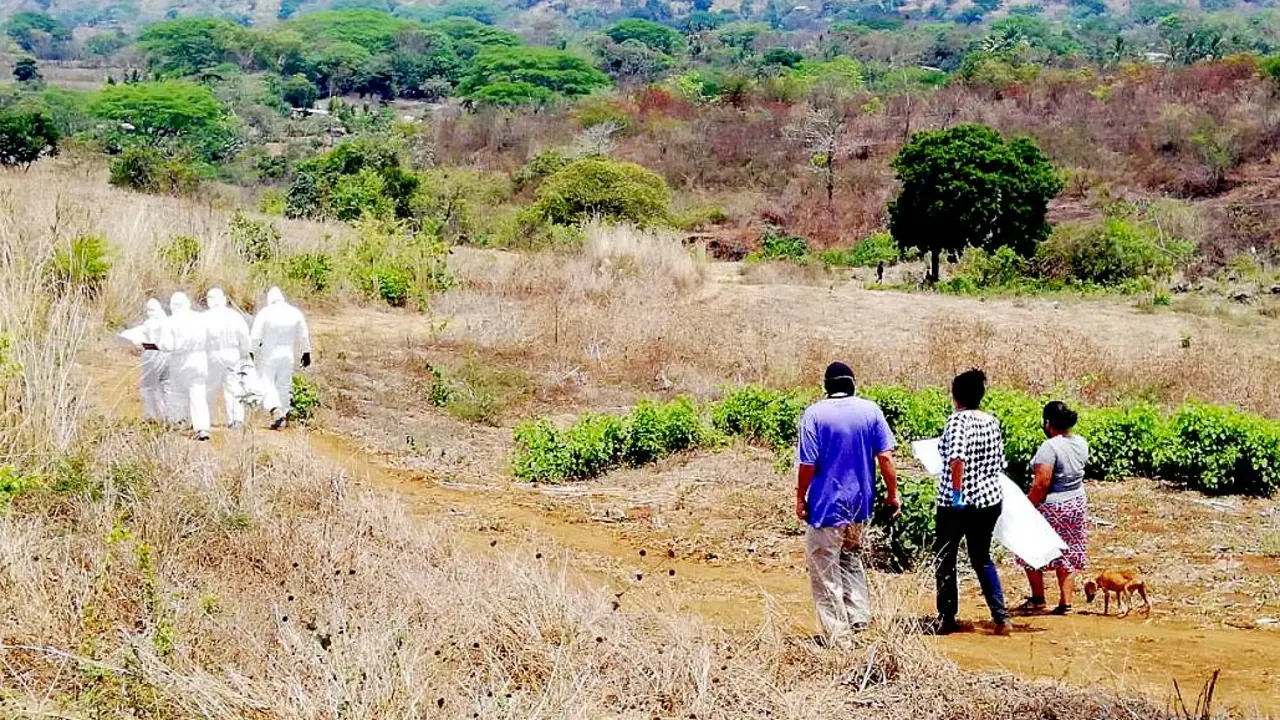 Hombre de 70 a&ntilde;os se suicida Foto Noticieros TVM