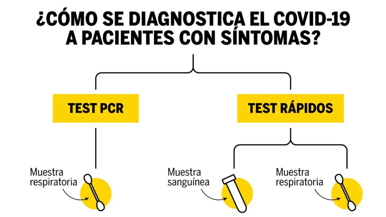 &iquest;C&oacute;mo se diagnostica el COVID-19 a pacientes con s&iacute;ntomas?