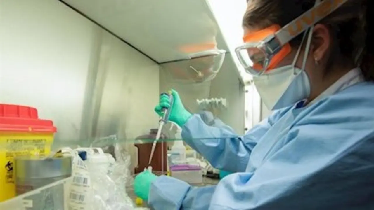 coronavirus Catalu&ntilde;a