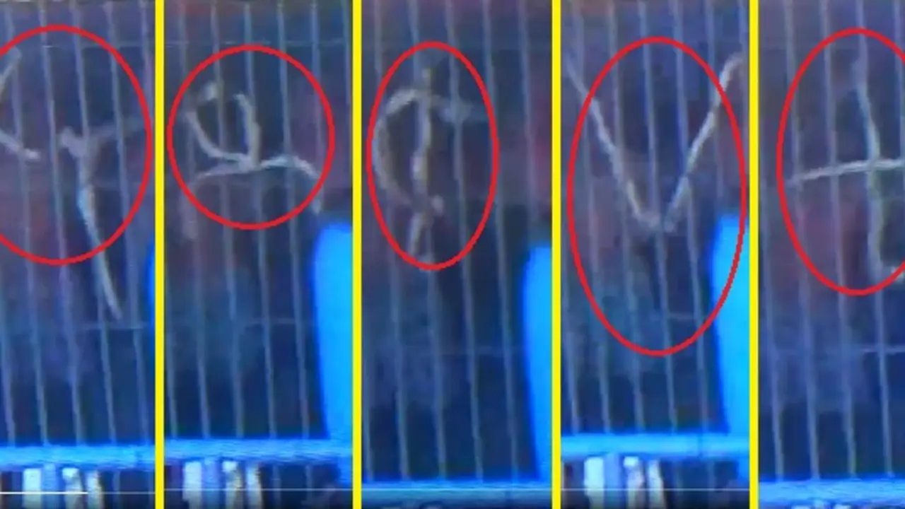 Reos hablando en penales 5