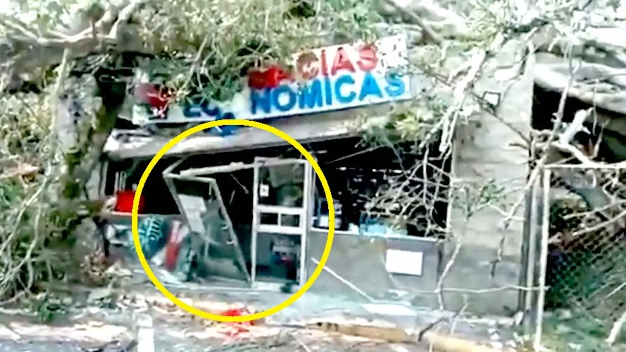 Farmacia destruida por caida de &aacute;rbol 3