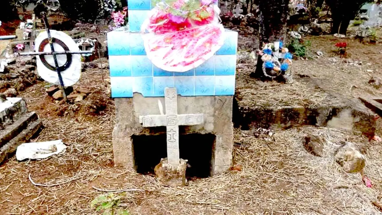 Saqueadores de tumbas 1