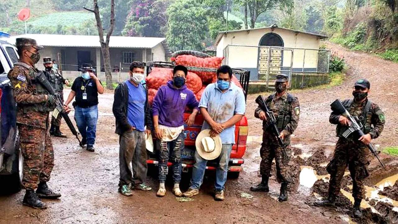 Decomisan casos de 24 papas en Chalatenango 3