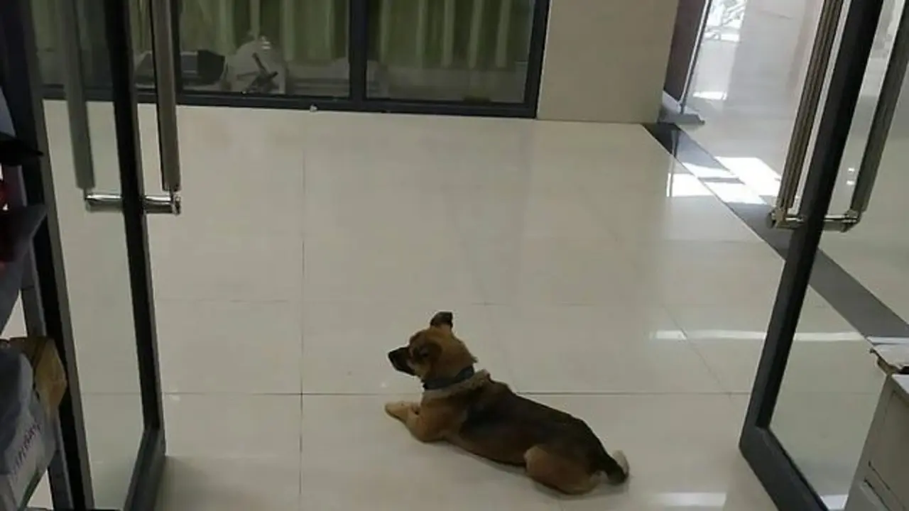 IMG_20200526_164753~2