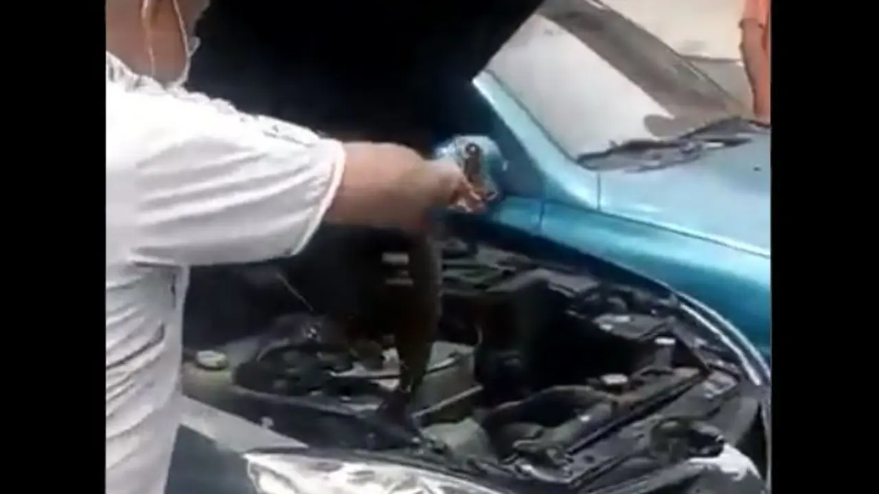 Culebra en taller de Soya