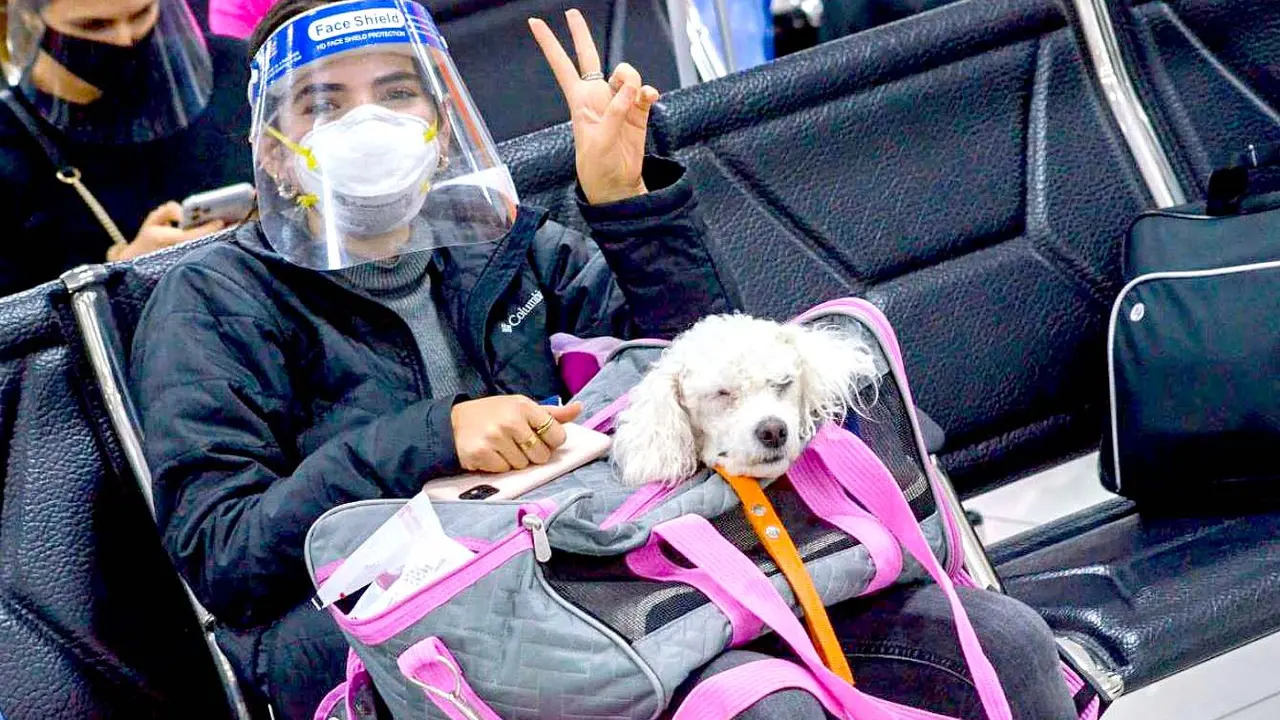 93 salvadore&ntilde;os son retornados de M&eacute;xico 2