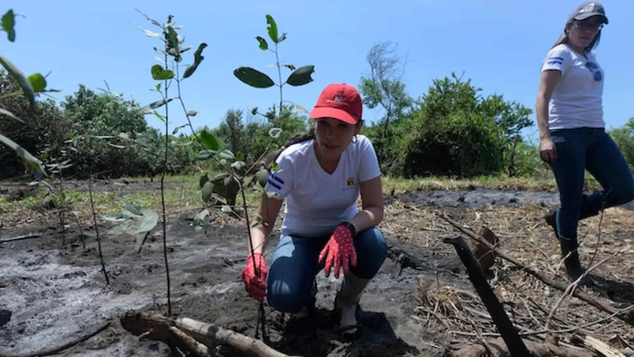 Davivienda y Fundemas_mangle_2