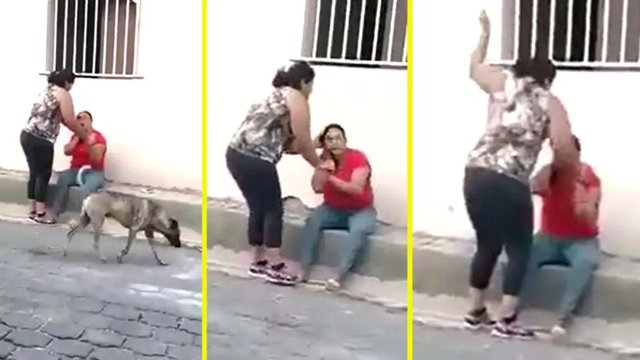 Dos mujeres pelan en Joroco Moraz&aacute;n 6 Imagenes tomadas de Canal 80