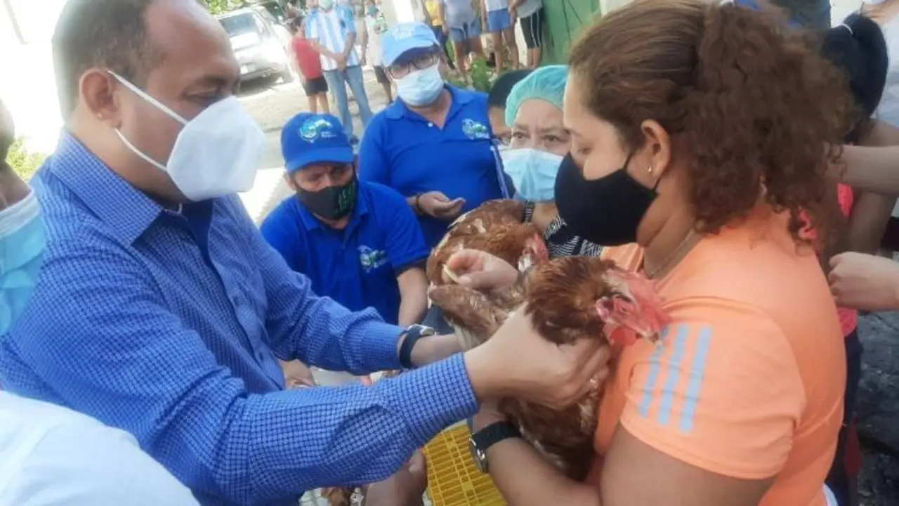 Alcalde entregando gallinas