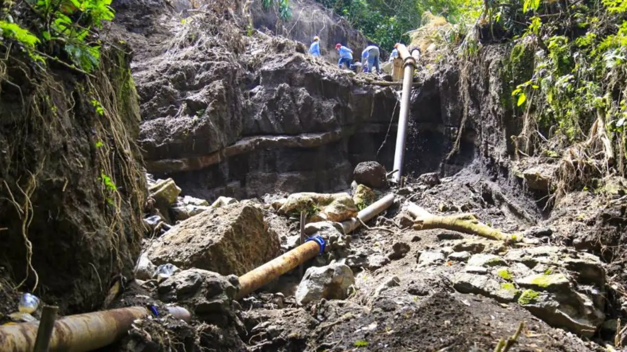 Tuber&iacute;as en Santa Tecla