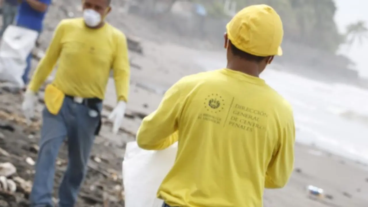 Reos en fase de confianza