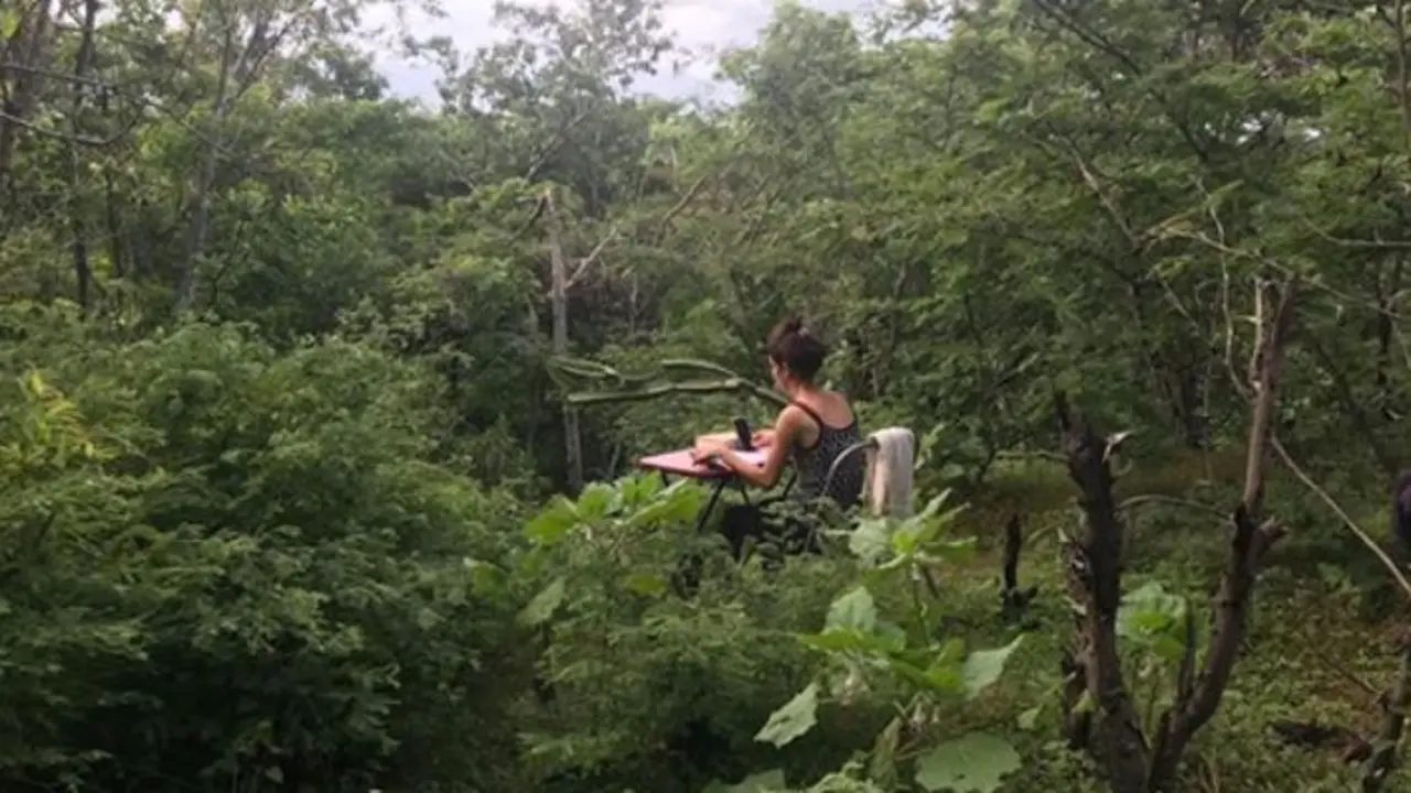 Estudia cerca de una monta&ntilde;a