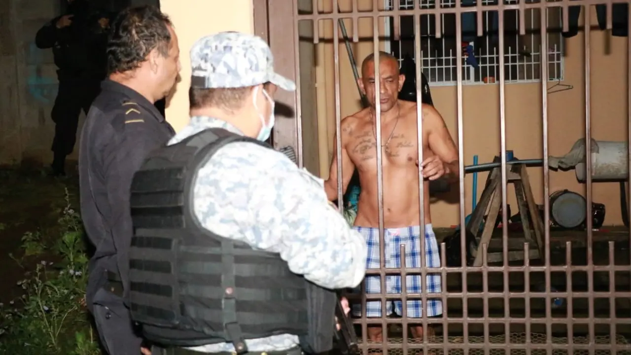 Lider de banda de coyotes