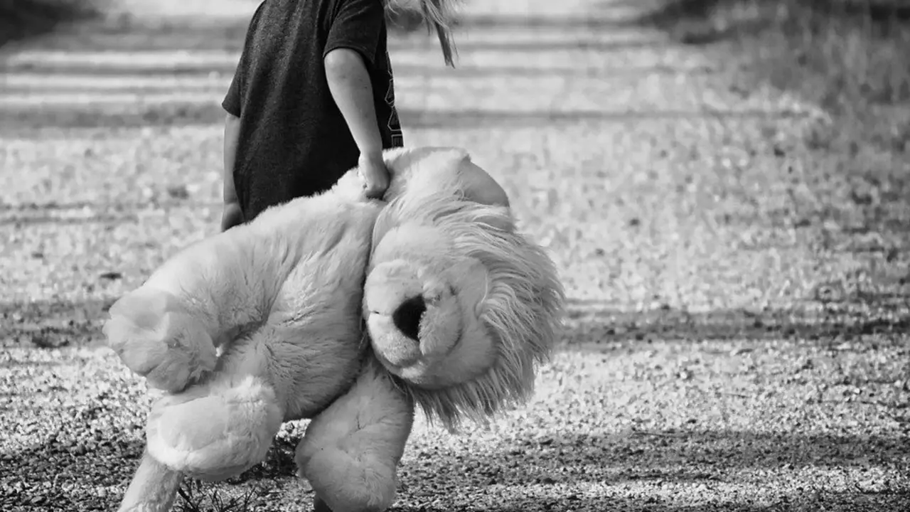 Ni&ntilde;a (Pixabay)