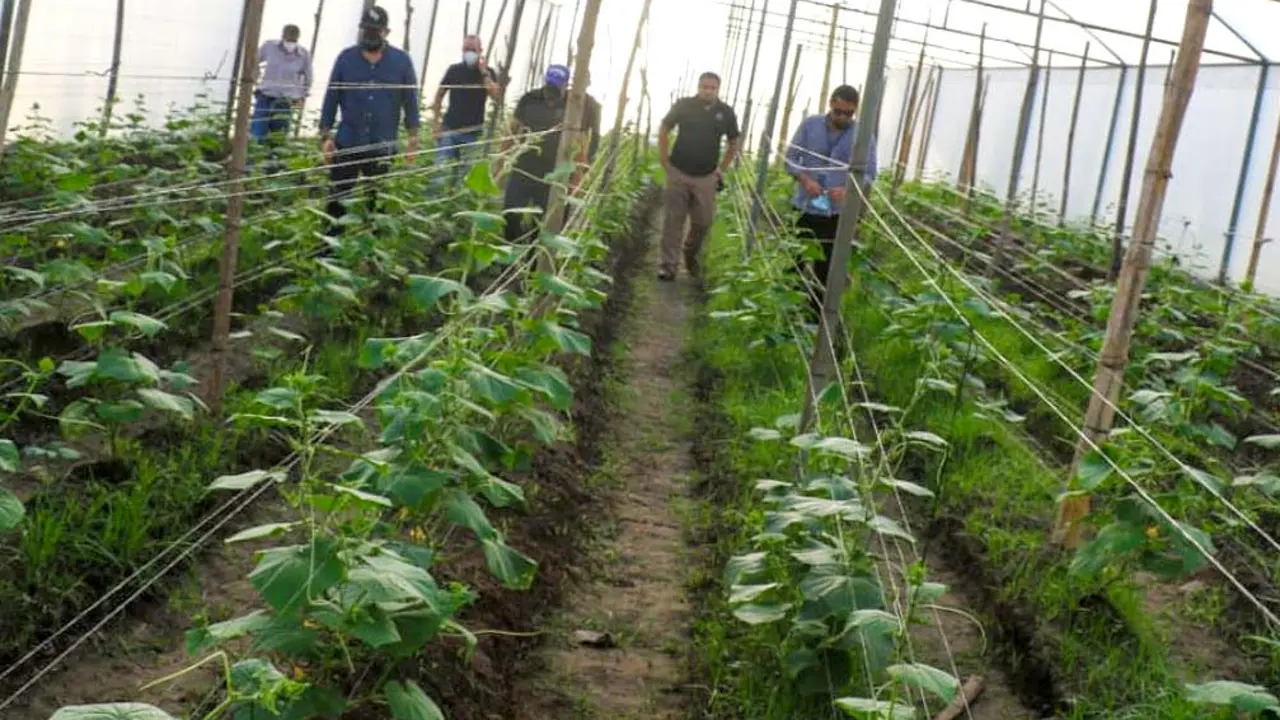 Casas Mallas de Zacatecoluca Foto tomada de la RRSS de Osiris Luna