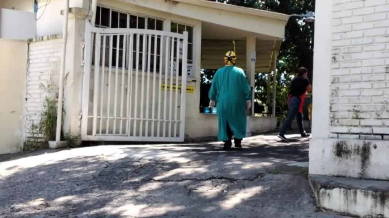Personas picadas en Ciudad Delgado