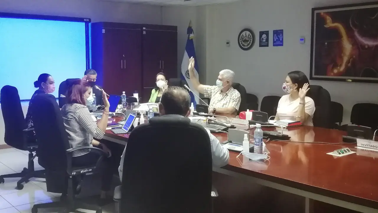 Diputados de la comisi&oacute;n