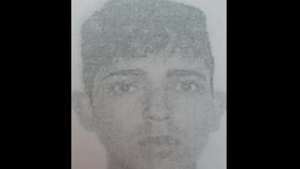 Violador de Santa Ana