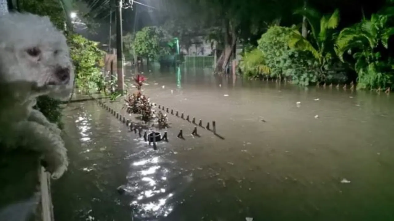 Lluvias de nuevo en la Santa Luc&iacute;a