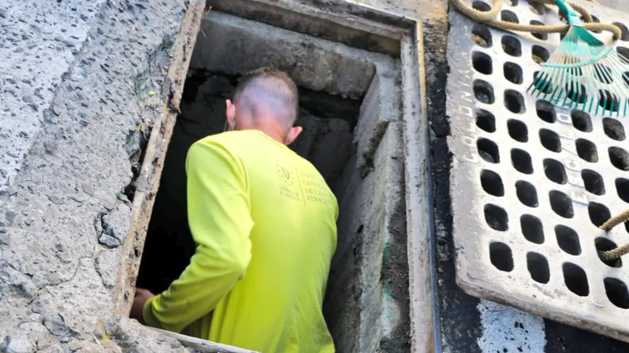 Reos en fase de confianza