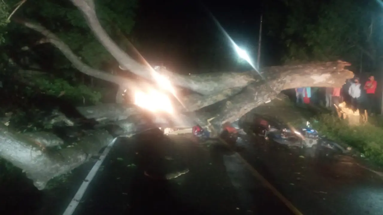 &aacute;rbol que cay&oacute; sobre motociclista