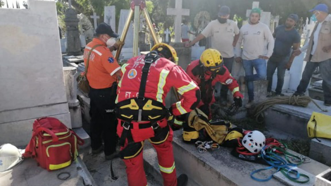 Screenshot_2020-11-19-12-05-24~2