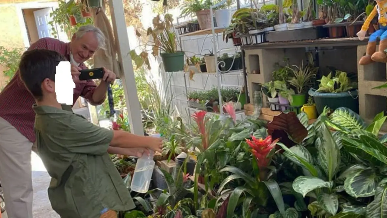 Ni&ntilde;o en California