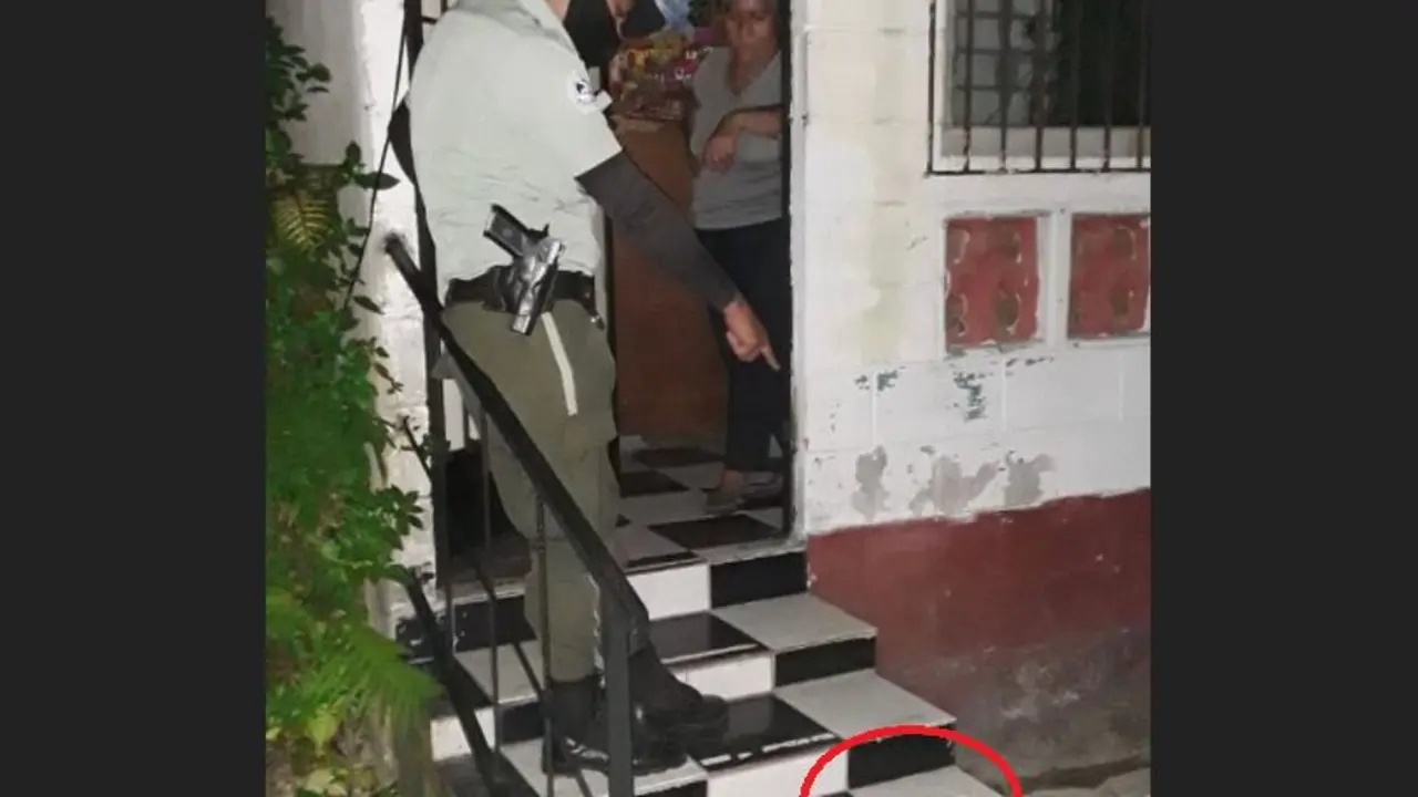 Para envenenar a perros y gatos