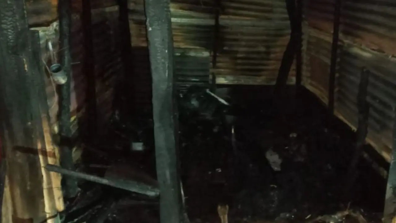 Hombre de 84 a&ntilde;os