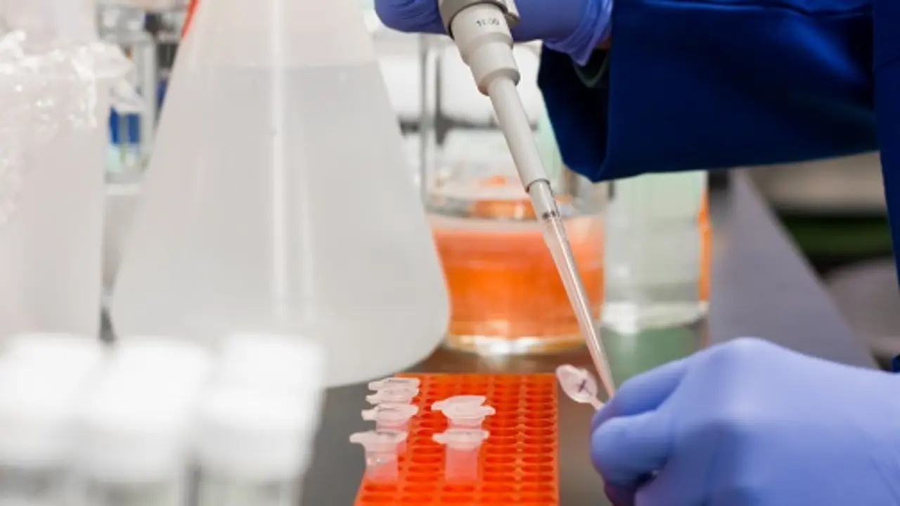 pexels-martin-lopez-954583