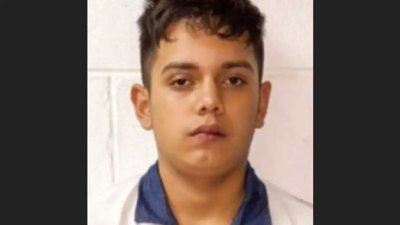 Pandillero ladr&oacute;n