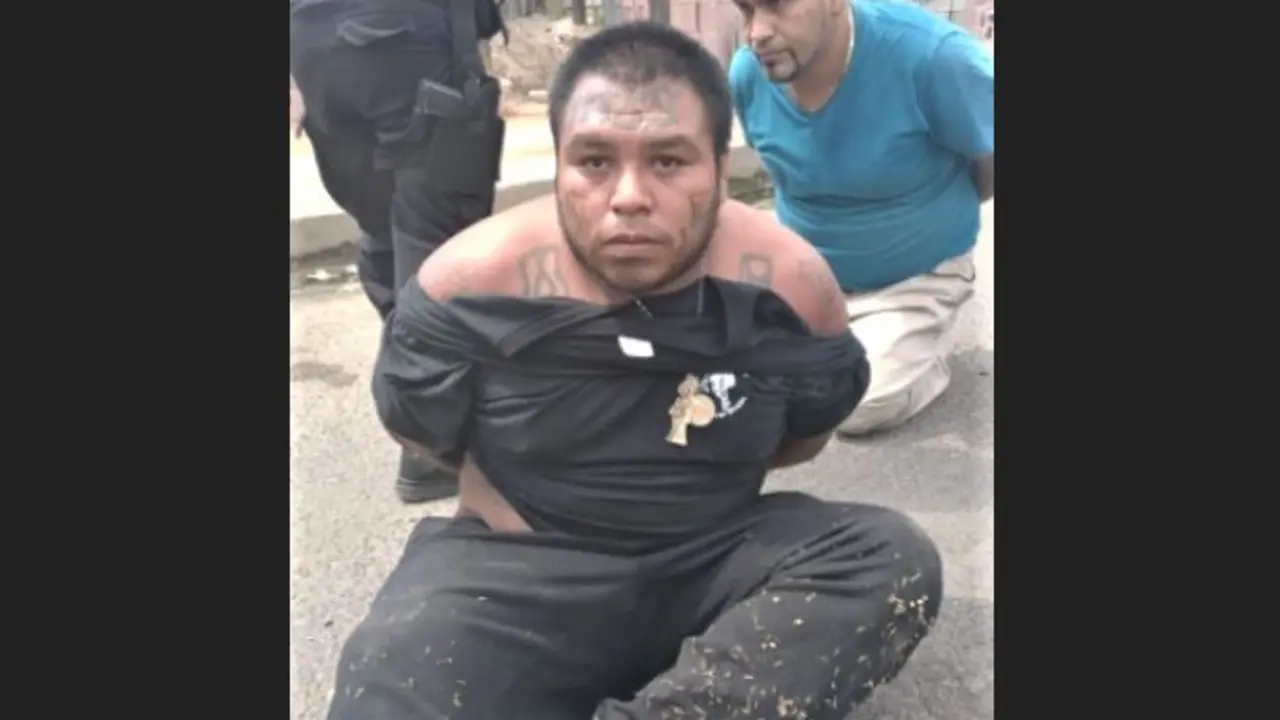 Cabecilla de Pandilla2