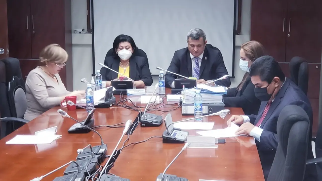 Comisi&oacute;n Especial diputados