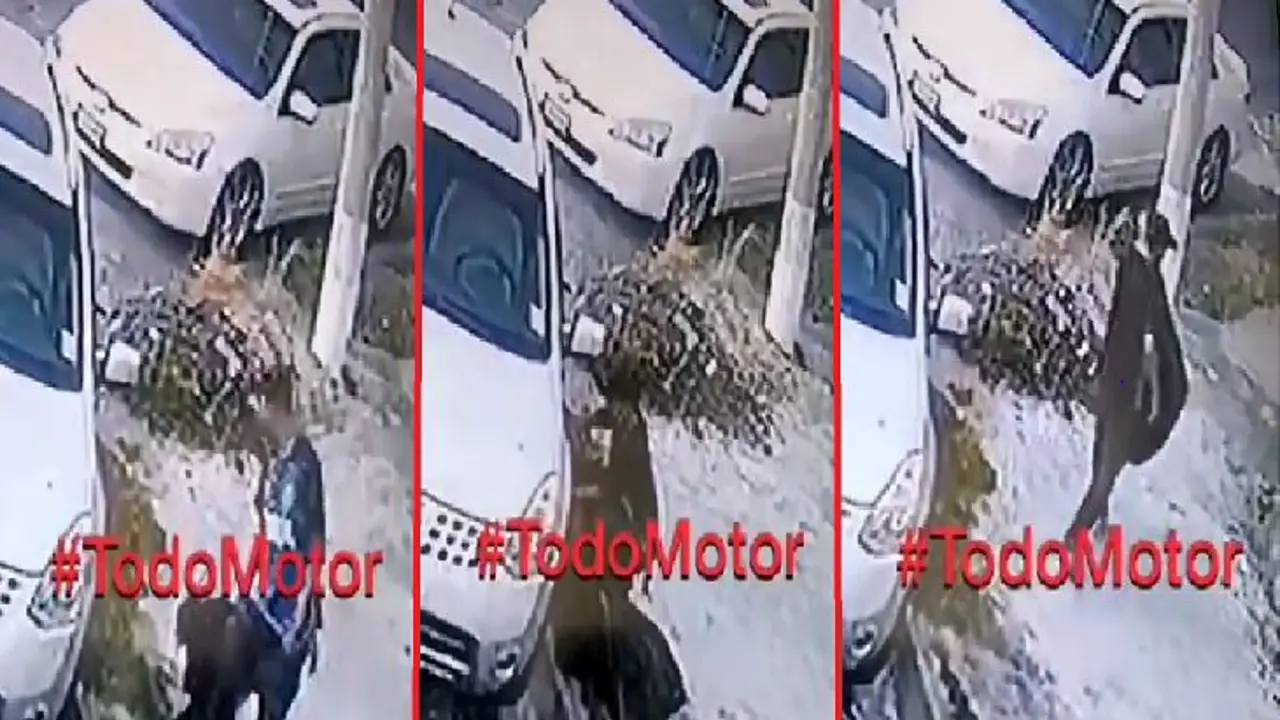 Hurtando en la Escal&oacute;n