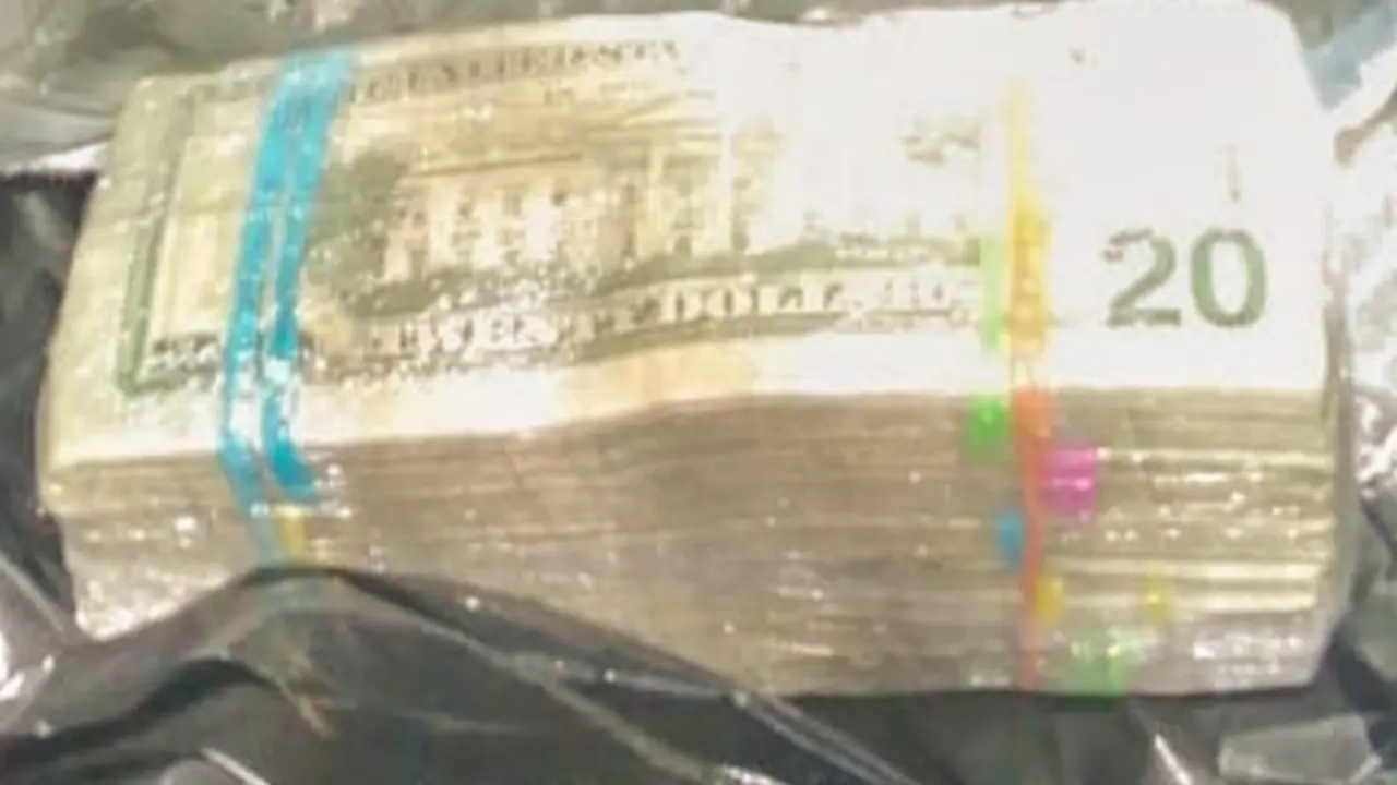 Dinero en paquetes de leche 2