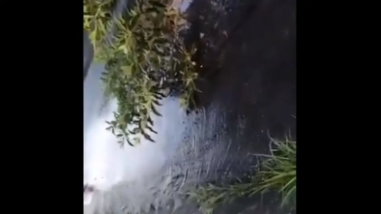 Ruptura de tuber&iacute;as en Lourdes, Col&oacute;n