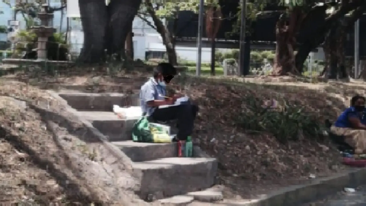 Ni&ntilde;o estudiando en platillo merliot