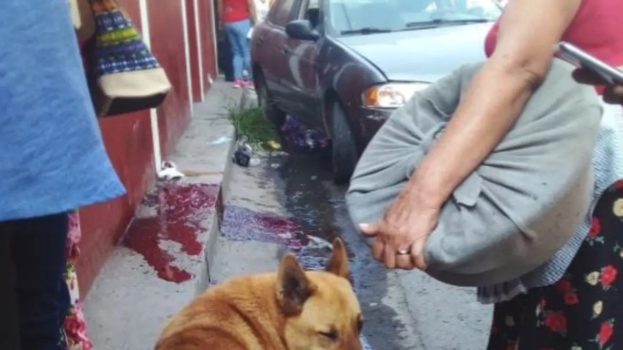 Mujer atropella a adulto mayor