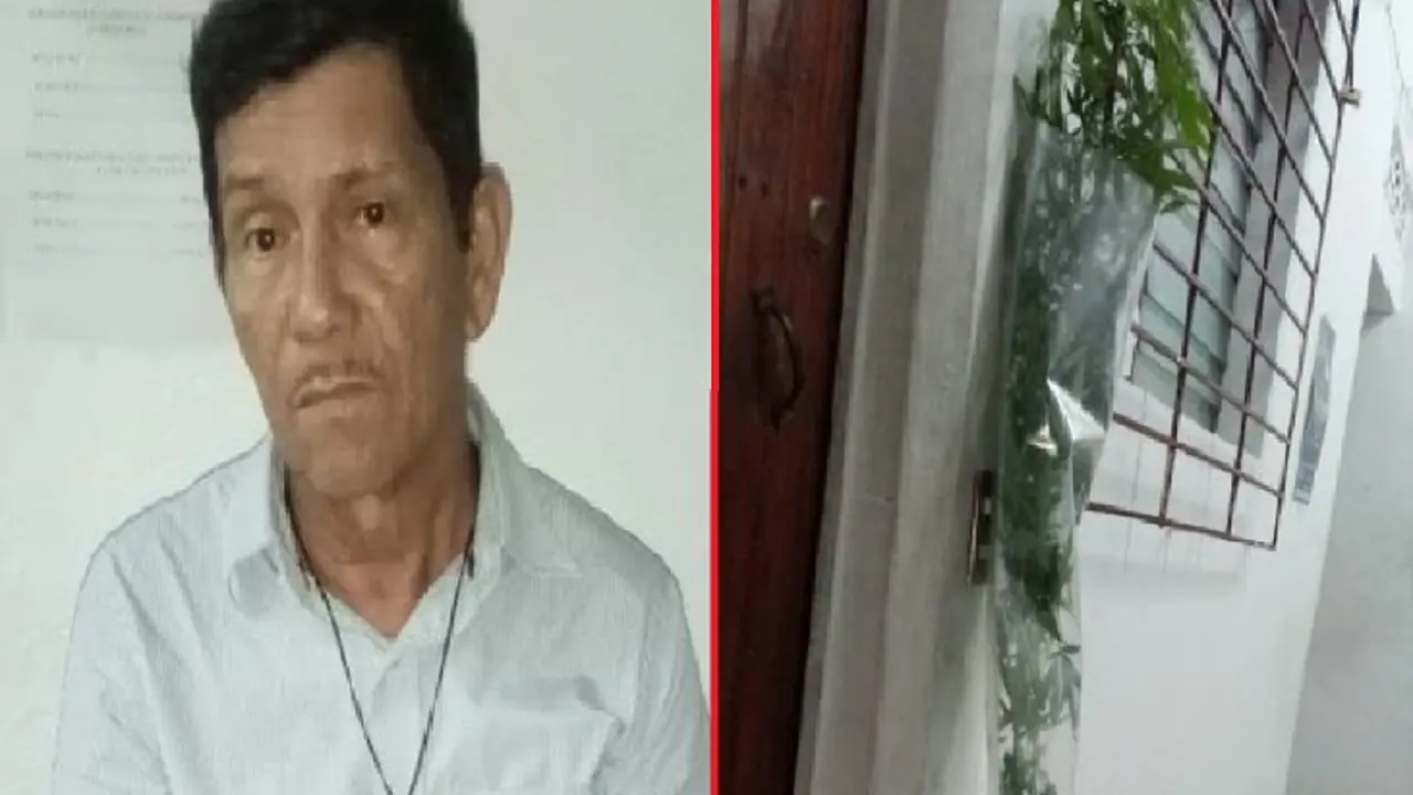 Capturado con una planta de marihuana