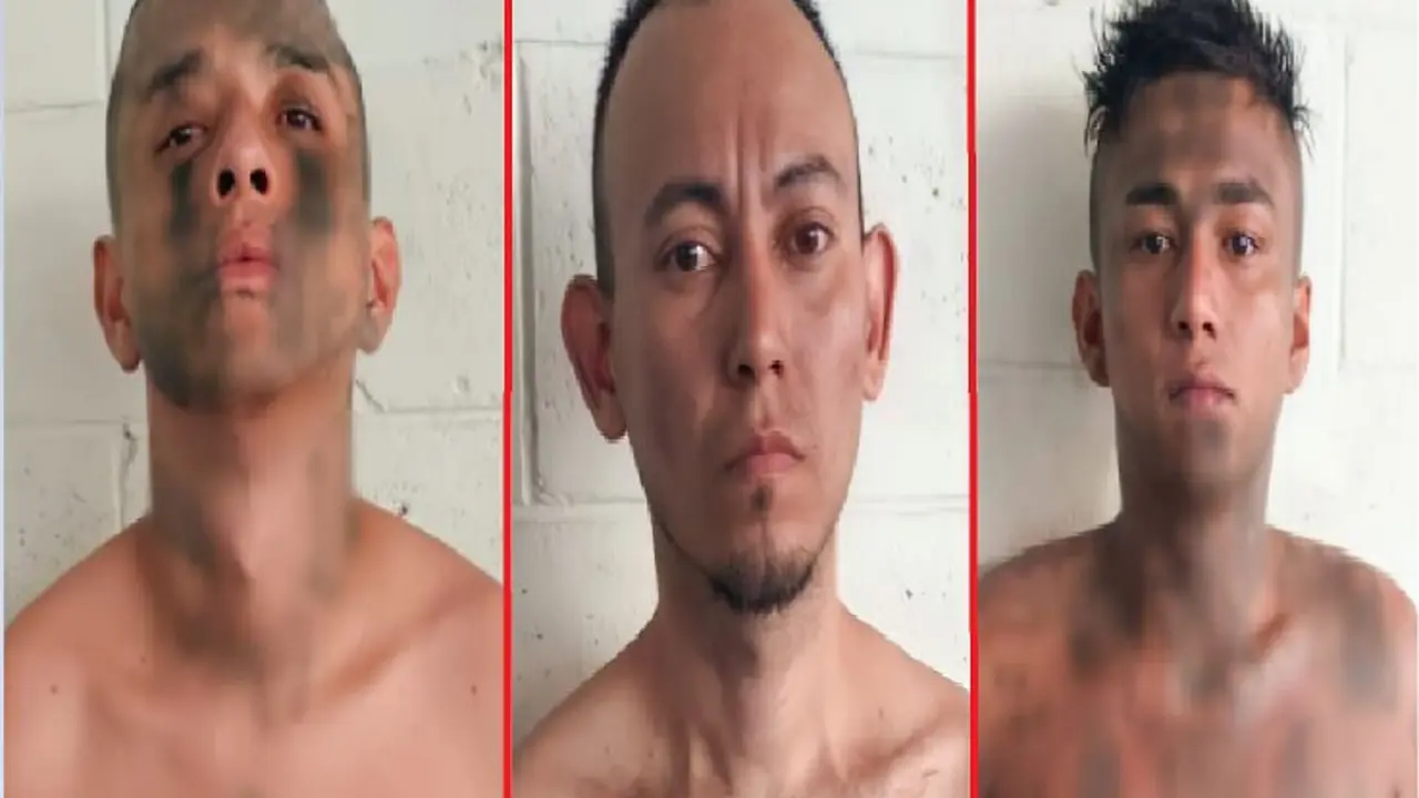 Pandilleros de Lourdes