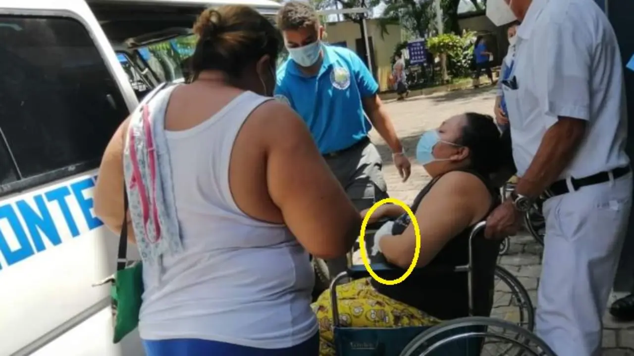 Mordida por un pitbull